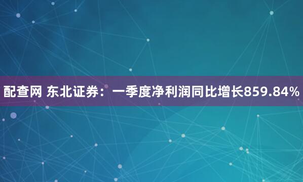 配查网 东北证券：一季度净利润同比增长859.84%