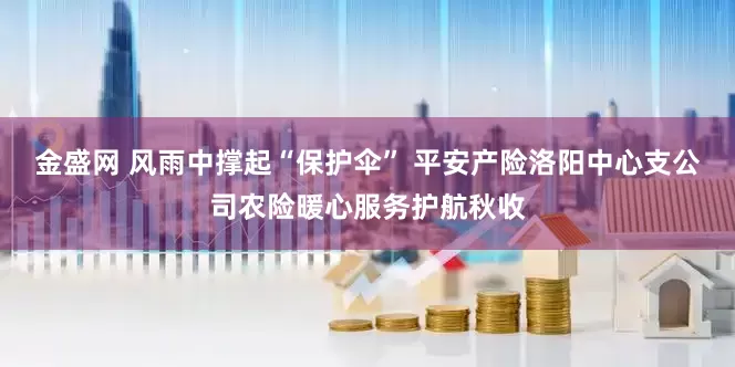 金盛网 风雨中撑起“保护伞” 平安产险洛阳中心支公司农险暖心服务护航秋收