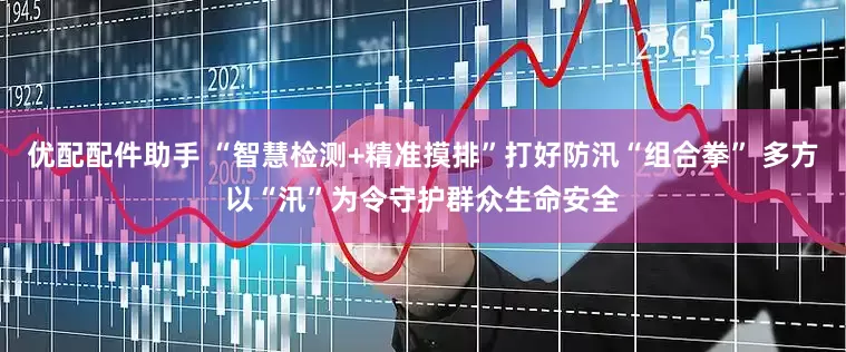 优配配件助手 “智慧检测+精准摸排”打好防汛“组合拳” 多方以“汛”为令守护群众生命安全
